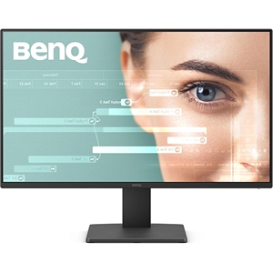 BenQ GW2491 24" Class Full HD LED Monitor - 16:9
