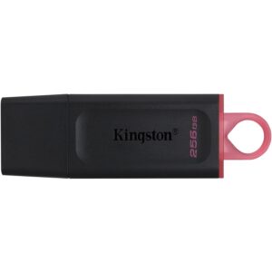 Kingston DataTraveler Exodia 256GB USB 3.2 (Gen 1) Flash Drive
