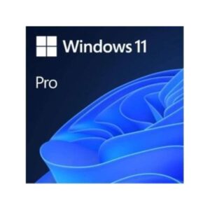 Microsoft Windows 11 Professional Digital License Key Code Only